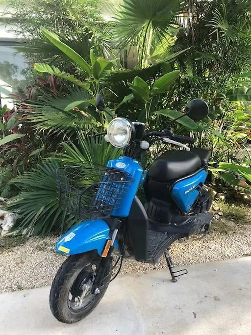 トゥルムDepa De 1Br Aldea Zama Con Piscina En Roof I Gtアパートメント